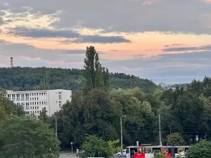 Prodej bytu 2+kk, Praha - Vršovice, Petrohradská, 58 m2