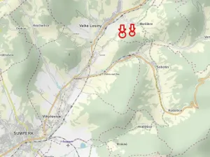 Prodej lesa, Velké Losiny, 7690 m2