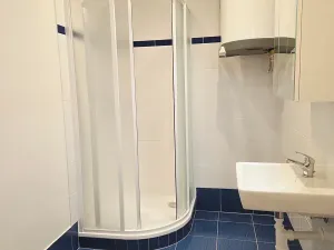 Pronájem bytu 2+1, Praha - Žižkov, Ambrožova, 82 m2