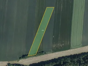 Prodej pole, Domamil, 9549 m2