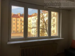 Pronájem bytu 1+kk, Praha - Vinohrady, Slezská, 30 m2