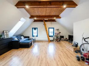 Prodej vícegeneračního domu, Hostinné, Dolní brána, 255 m2