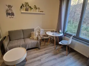 Pronájem bytu 1+kk, Chrudim, Podkopanický mlýn, 30 m2