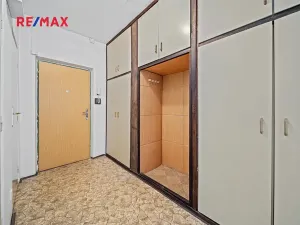 Prodej bytu 2+1, Praha - Žižkov, K lučinám, 50 m2