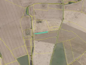 Dražba pole, Úžice, 1043 m2