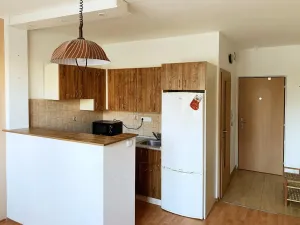 Pronájem bytu 1+1, Chodov, Čs. odbojářů, 36 m2