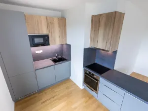 Prodej bytu 2+kk, Praha - Žižkov, U Viktorie, 63 m2