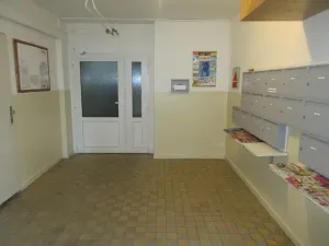 Prodej bytu 2+1, Písek, Dr. M. Horákové, 55 m2