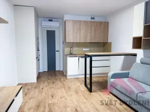 Pronájem bytu 1+kk, Praha - Žižkov, Šrámkové, 34 m2