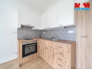 Pronájem bytu 1+kk, Třemošná, Školní, 32 m2