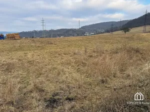 Prodej pozemku pro bydlení, Trmice, 1299 m2