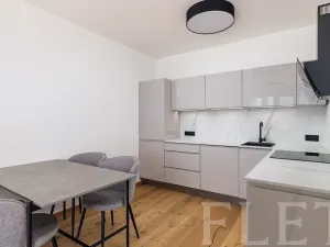 Pronájem bytu 2+kk, Praha - Radlice, Na Farkáně I, 52 m2