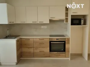 Pronájem bytu 2+kk, České Budějovice, Ledenická, 56 m2