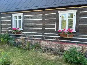 Prodej rodinného domu, Červená Voda, 310 m2