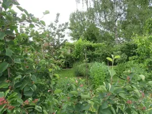 Dražba skladu, Jílové u Prahy, Pražská, 10 m2