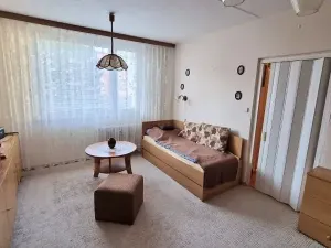 Prodej bytu 1+1, Jihlava, Březinova, 33 m2