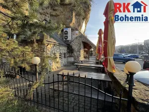 Pronájem restaurace, Mladá Boleslav, Ptácká, 410 m2