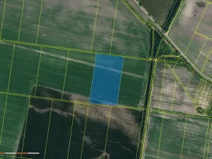 Prodej pole, Hevlín, 26500 m2