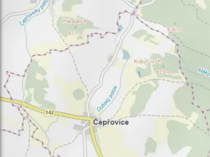 Prodej lesa, Čepřovice, 1644 m2