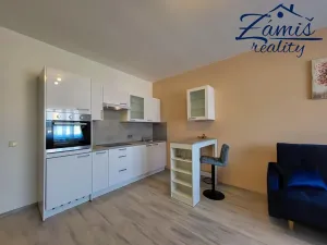 Pronájem bytu 1+kk, Otvovice, 35 m2