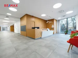 Pronájem bytu 1+kk, Praha - Smíchov, Kobrova, 43 m2