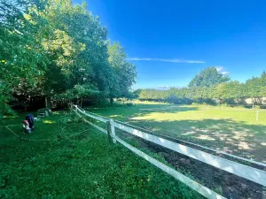 Prodej chalupy, Čepřovice, 140 m2