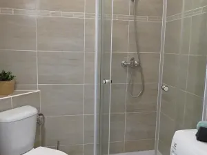 Pronájem bytu 1+kk, Brno, Koliště, 20 m2