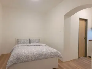 Pronájem bytu 1+kk, Brno, Francouzská, 25 m2