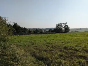 Prodej pozemku pro bydlení, Nové Lublice, 3046 m2