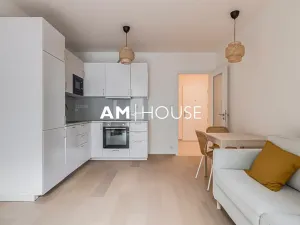 Pronájem bytu 2+kk, Praha - Vysočany, Ivana Hlinky, 60 m2