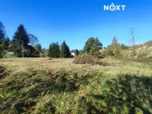 Prodej zahrady, Staré Buky, 2666 m2