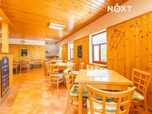 Pronájem ubytování, Horní Město, 250 m2