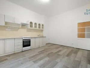 Pronájem bytu 1+1, Brno, Rybníček, 63 m2