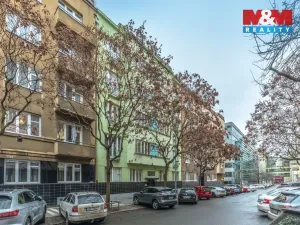 Prodej bytu 1+kk, Praha - Žižkov, Přemyslovská, 38 m2