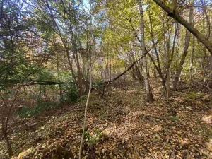 Prodej pole, Železný Brod, 12622 m2