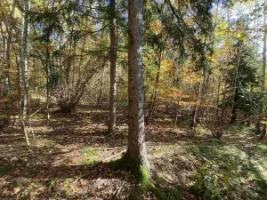 Prodej pole, Železný Brod, 12622 m2