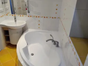 Prodej bytu 2+1, Břidličná, Komenského, 58 m2