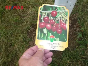 Prodej pozemku pro bydlení, Žebrák, 714 m2