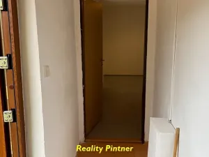 Prodej bytu 1+1, Březnice, V koleji, 40 m2