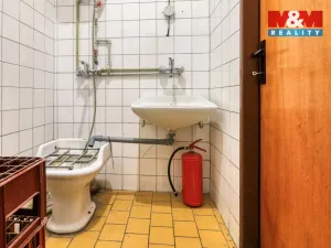 Prodej obchodního prostoru, Starý Plzenec, Smetanova, 57 m2