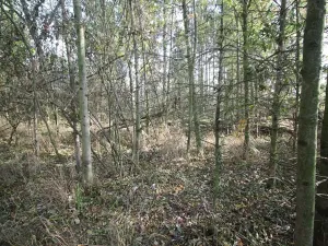 Prodej pozemku, Dolní Břežany, Keltská, 3508 m2