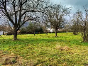 Prodej pozemku pro bydlení, Stádlec, 4550 m2