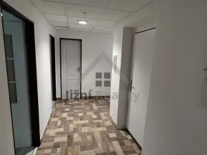 Prodej bytu 3+1, Mladá Vožice, Husovo náměstí, 80 m2