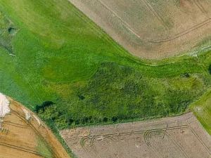 Prodej rybníku, Želetava, 5179 m2