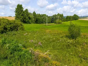 Prodej rybníku, Želetava, 5179 m2