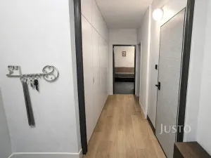 Prodej bytu 1+1, Písek, Truhlářská, 41 m2