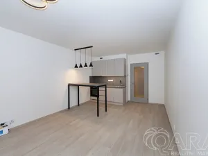Prodej bytu 1+kk, Praha - Hloubětín, Poděbradská, 32 m2