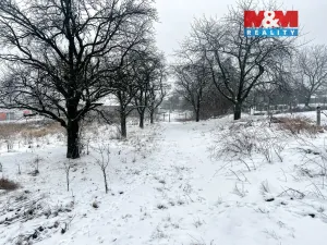 Prodej rodinného domu, Vítkov - Klokočov, 200 m2