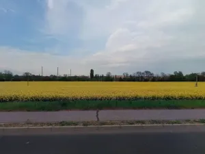 Prodej pole, Štětí, 4190 m2