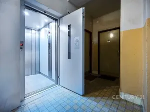 Prodej bytu 2+1, Plzeň, Ořechová, 68 m2